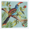 Paradise Toucan I