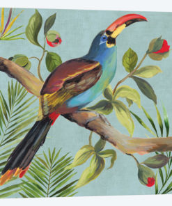 Paradise Toucan I