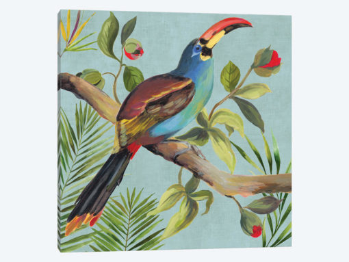 Paradise Toucan I