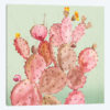 Pink Cacti