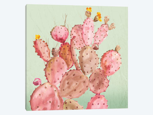 Pink Cacti