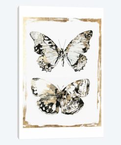 Butterfly Wings