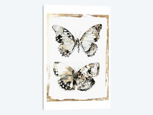 Butterfly Wings