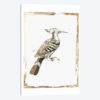 Golden Bird I