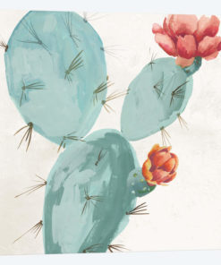 Bunny Ears Cactus