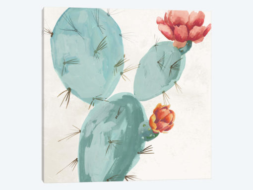 Bunny Ears Cactus