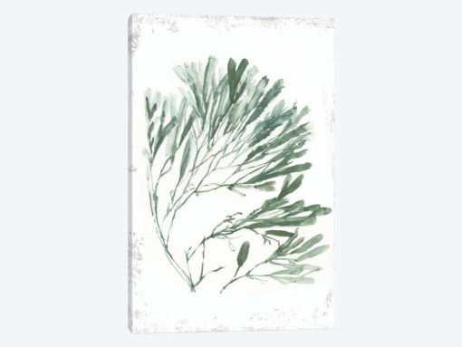 Emerald Coral II