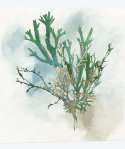 Green Coral I