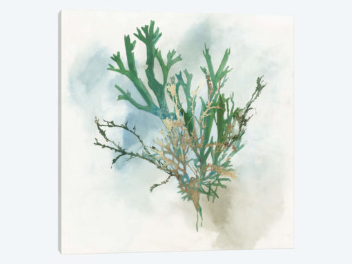 Green Coral I