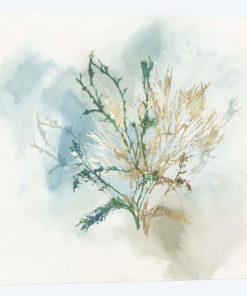 Green Coral II