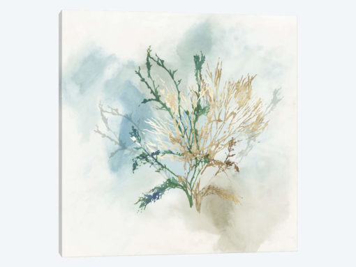 Green Coral II
