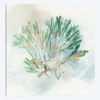 Green Coral III