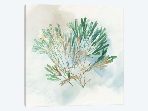 Green Coral III