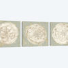 Cone Shells Triptych