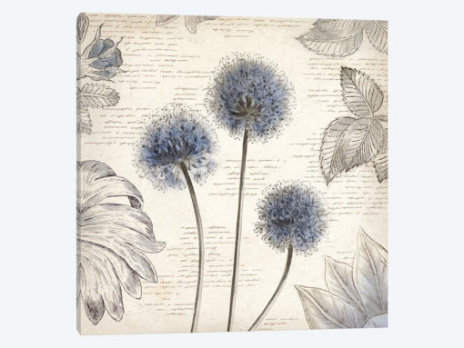 Blushing Blue I
