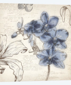 Blushing Blue II