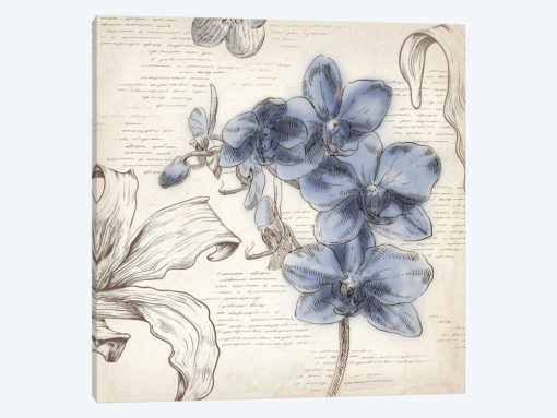 Blushing Blue II