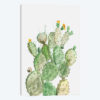 Sunny Cactus