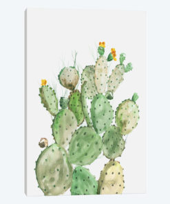Sunny Cactus