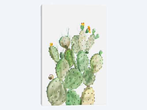 Sunny Cactus