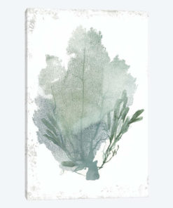 Teal Delicate Coral I