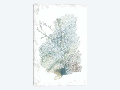 Teal Delicate Coral II