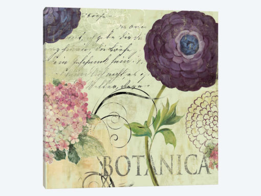 Botanica