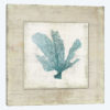 Chambray Coral I
