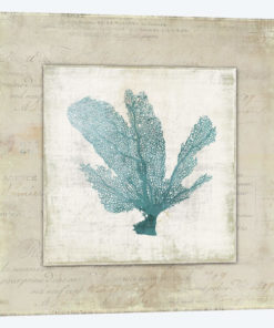 Chambray Coral I