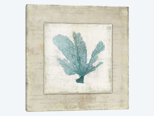 Chambray Coral I