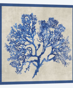 Cobalt Coral I
