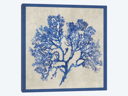 Cobalt Coral I