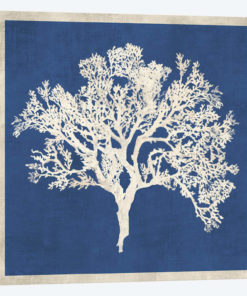Cobalt Coral II