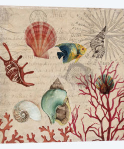 Coral I