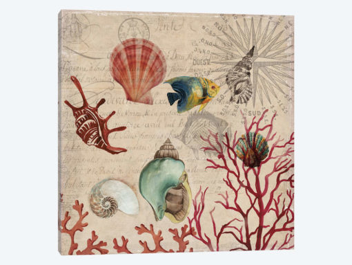Coral I
