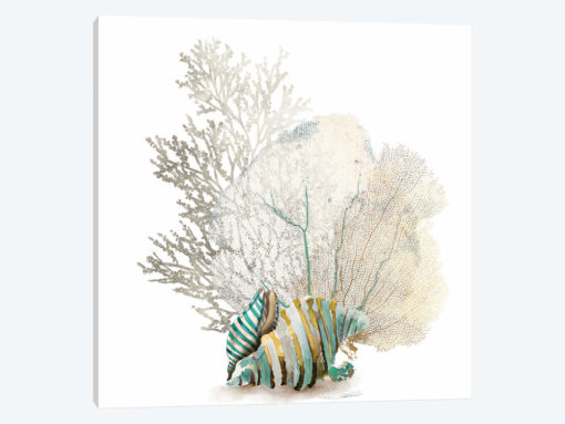 Coral II