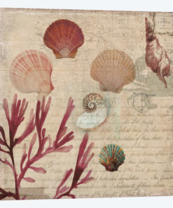 Coral III