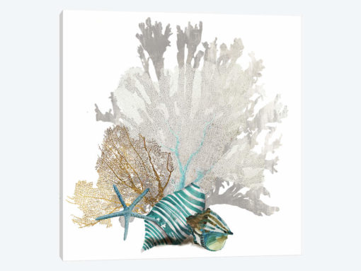 Coral IV