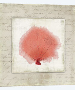 Coral Linen I