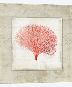 Coral Linen II