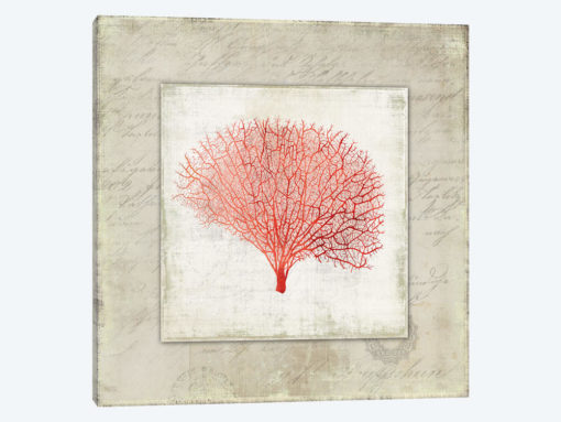 Coral Linen II