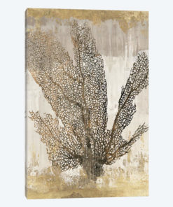 Coral Splendor I
