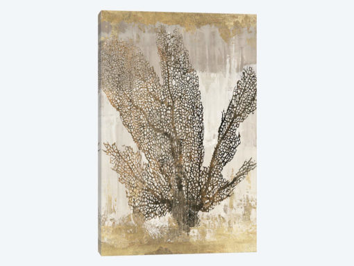 Coral Splendor I