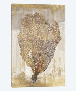 Coral Splendor III