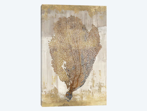 Coral Splendor III