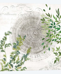 Eco I