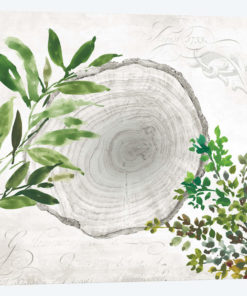 Eco II