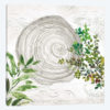 Eco III