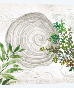 Eco III