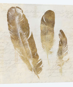 Feather Softly I